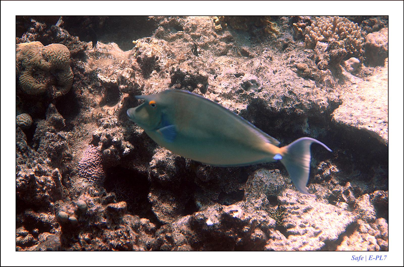 Hurghada - Juillet 2021 - 055